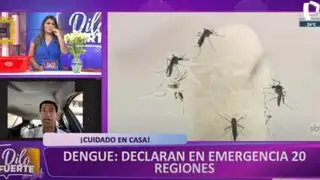 Dr. Marco Almeri brinda consejos para evitar propagación del dengue: “El agua en floreros son un caldo de cultivo”