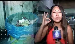 Operativo en restaurantes plagados de roedores y cucarachas en Independencia