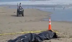 Cañete: hallan cuerpo de joven que murió ahogado en playa de Asia