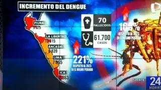 Dengue en el Perú registra 70 muertes en lo que va del año