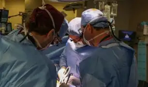 ¡Avance en la medicina! Trasplantan por primera vez el riñón de un cerdo a una persona viva