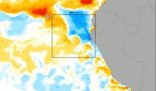 Del calor extremo al frio: Abraham Levy advierte que mar peruano se enfría aceleradamente