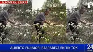 Alberto Fujimori pasa sus días como jardinero en su casa de campo