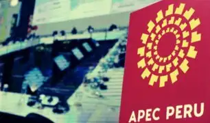 APEC Perú 2024: Estas son las próximas actividades que se realizarán en el país
