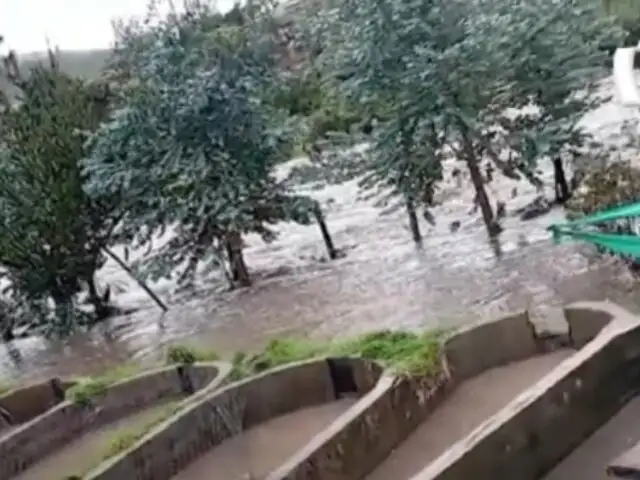 Ayacucho: río se desborda y destruye más de 20 piscigranjas