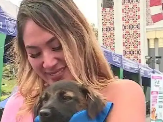 Reportera se emociona hasta las lágrimas tras adoptar a un perrito EN VIVO