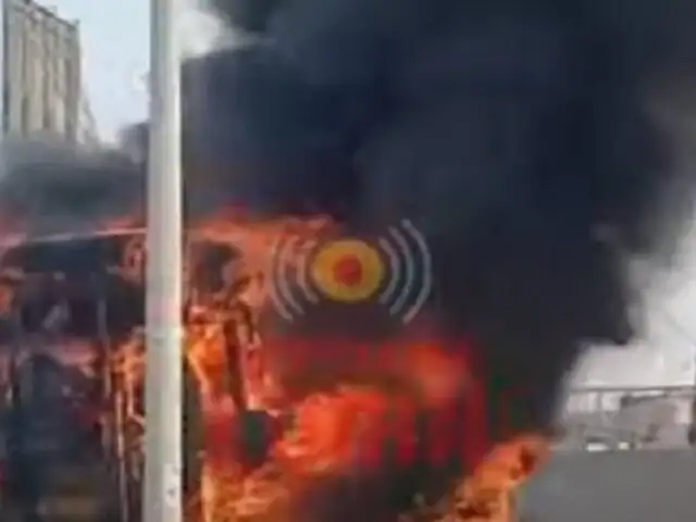 Bus turístico se incendió en plena Panamericana Sur en Lurín: pasajeros se salvaron de milagro