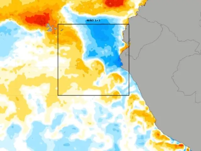 Del calor extremo al frio: Abraham Levy advierte que mar peruano se enfría aceleradamente