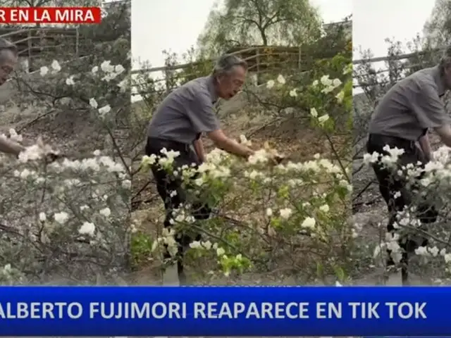 Alberto Fujimori pasa sus días como jardinero en su casa de campo