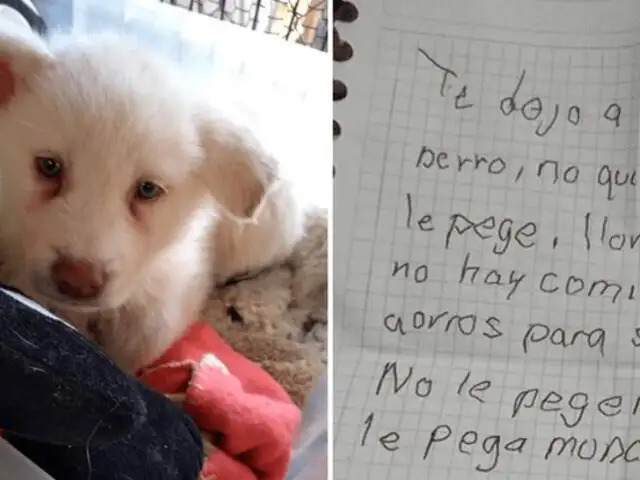 ¡Conmovedor!: niño que deja a su perro en un albergue para protegerlo del maltrato de su padre