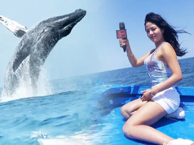 Sea testigo del avistamiento de ballenas y disfrute el mejor parque acuático en Tumbes
