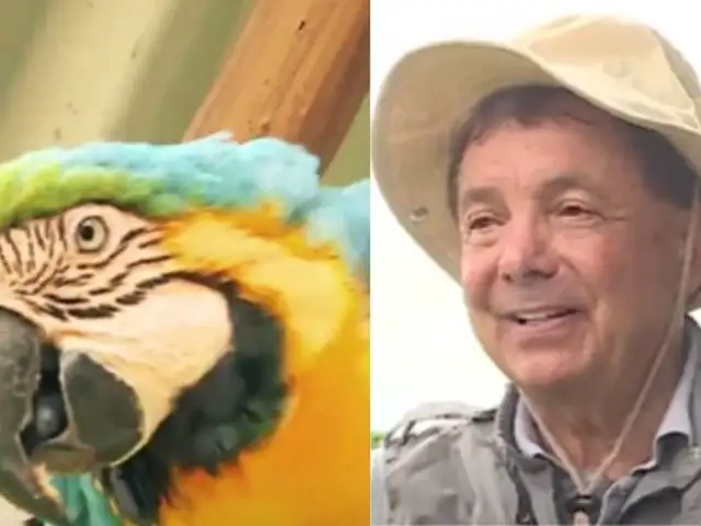 ‘Indiana Jones de la Selva’: Suizo se enamora del Perú y funda un refugio de animales en Iquitos