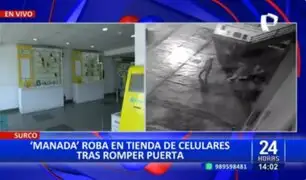 Surco: Delincuentes en "manada" roban en tienda de celulares tras romper la puerta