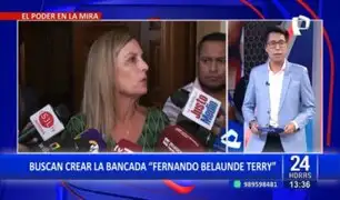 Congreso: Ex militantes de Acción Popular buscan crear la bancada "Fernando Belaúnde Terry"