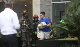 Perrito muere durante incendio en edificio familiar de Barranco