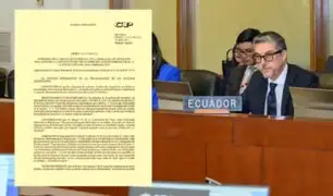 OEA condena “enérgicamente” la irrupción de Ecuador en embajada mexicana: piden diálogo