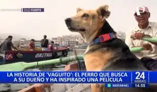 La conmovedora historia de "Vaguito": El perrito que busca a su dueño y ha inspirado una película