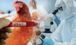 OMS alerta sobre la posible expansión de la gripe aviar en humanos