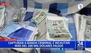 Los Olivos: Desarticulan banda criminal e incautan más de 100 mil dólares falsos