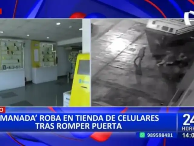 Surco: Delincuentes en "manada" roban en tienda de celulares tras romper la puerta