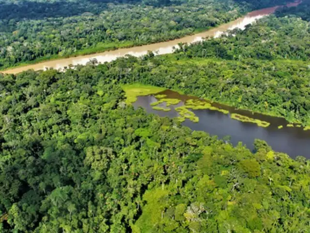 Gobierno peruano priorizará la conservación de bosques amazónicos