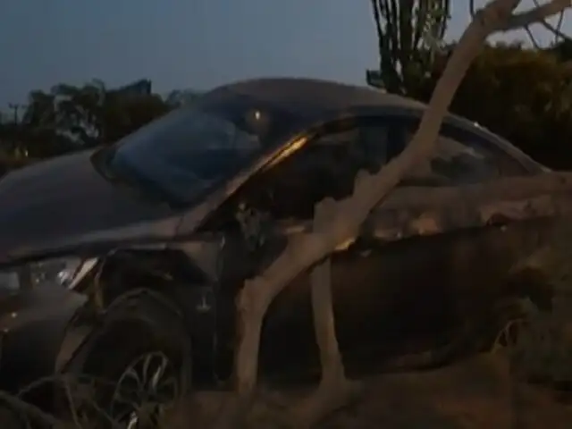 Accidente en av. Javier Prado: carro se despista y queda empotrado contra árbol en San Borja