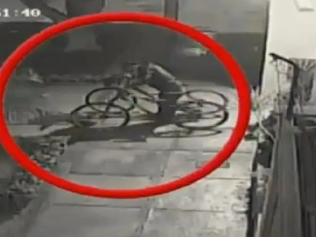 San Borja: roban bicicletas valorizadas en más de S/15 mil tras burlar seguridad de edificio