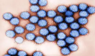 Rotavirus: ¿Cuál es la población con más riesgo de contagiarse?