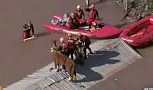 ¡Excelente noticia! Rescatan a caballo atrapado en tejado durante inundaciones en Brasil