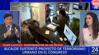 Alcalde de Los Olivos sustentó ante el Congreso proyecto para tipificar crímenes como "terrorismo urbano"
