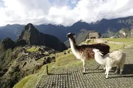 ¡Vamos a Machu Picchu!: ciudadela Inca recibirá a 5 600 visitantes por día a partir del 1 de junio