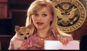 Reese Witherspoon vuelve a personificar a 'Elle Woods' y anuncia precuela de 'Legalmente Rubia'