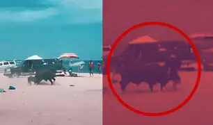 Toro enfurecido embistió a una mujer en una playa de México