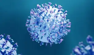 Covid-19 deteriora el sistema inmunitario a largo plazo, según estudios recientes