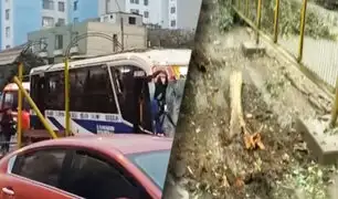 ¡Estaba lleno de pasajeros!: Bus derriba rejas en la avenida Brasil tras perder el control