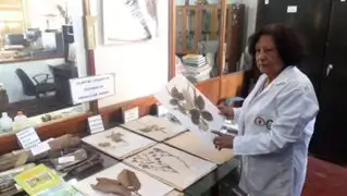 Día de la Diversidad Biológica: conoce a tres investigadoras peruanas guardianas de la flora y fauna del Perú