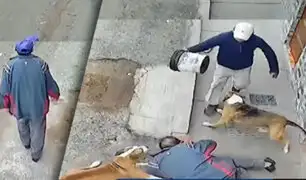 ¡Perros casi acaban con la vida de un anciano!: Los canes lo atacaron en la calle cuando regresaba a casa