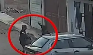 ¡Gritos desgarradores! Perro sin bozal ataca a niño y mata a su mascota en Ancón