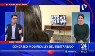 Congreso aprueba ley que prohíbe actividades particulares durante el teletrabajo