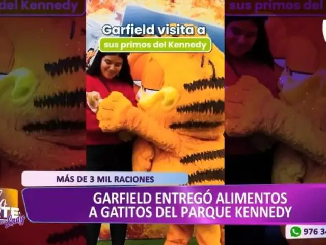 "Garfield" entregó alimentos a los gatitos del Parque Kennedy