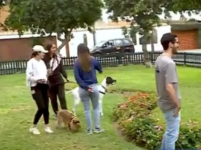 Vecinos de Surco enfrentados: algunos residentes se oponen que paseen perros en parque El Aliso