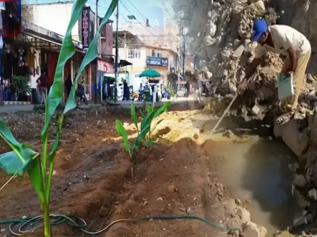 Protestan sembrando plantas de yuca y plátanos en obras paralizadas en Satipo