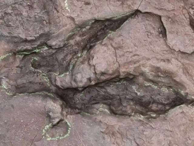 Descubren las huellas más grandes de deinonicosaurio en China