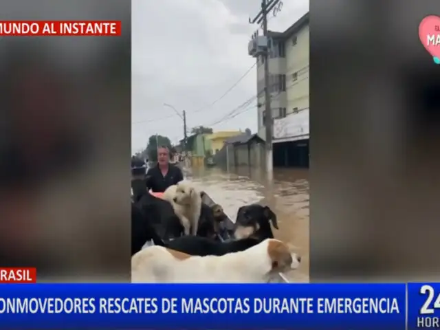 Mascotas son rescatadas en medio de las inundaciones que se viven en Brasil