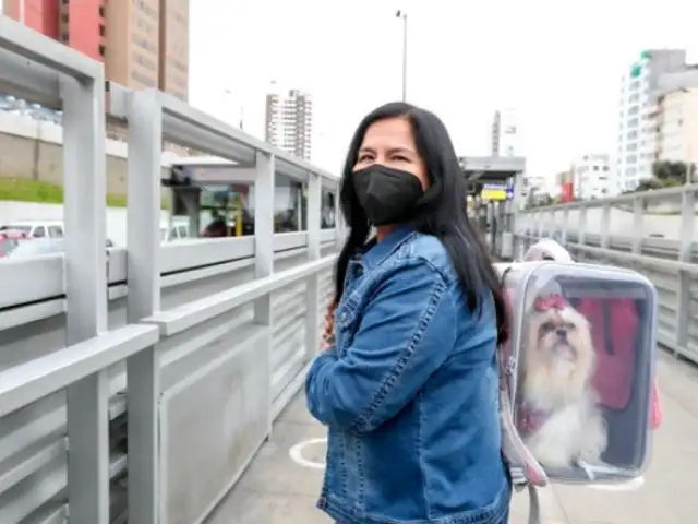 ¡Atención Petlovers!: Usuarios pueden viajar con mascotas pequeñas en el Metropolitano, corredores complementarios y Metro de Lima