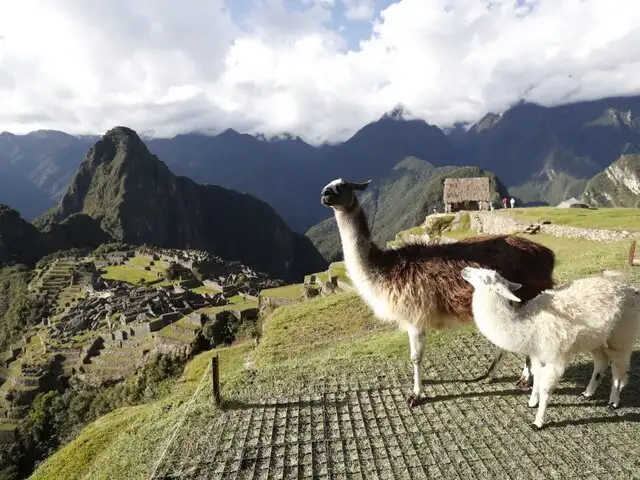 49% de los turistas que visitan Perú vienen de países miembros de APEC, según alto funcionario