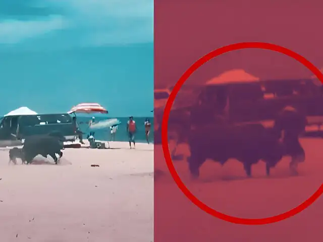 Toro enfurecido embistió a una mujer en una playa de México