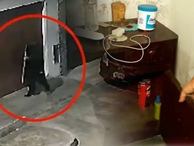 ¡Entraron cuando la familia dormía!: Se robaron hasta la caja fuerte y la ropa de los niños en vivienda de SJM