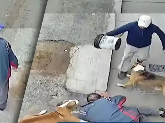 ¡Perros casi acaban con la vida de un anciano!: Los canes lo atacaron en la calle cuando regresaba a casa