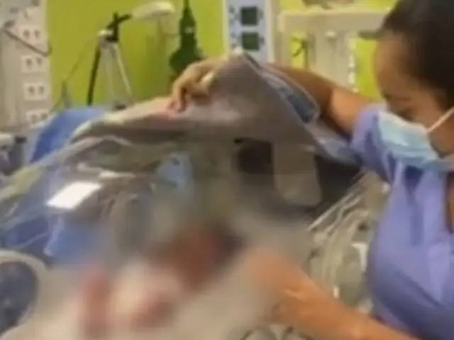 Abandonan a recién nacida en contenedor de basura: bebita casi se asfixia por estar dentro de bolsa